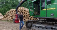 Ice storm recovery: Seeing the forest for the trees amid disease, timber markets