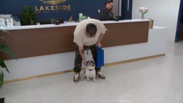 Dog abandoned at Plantation animal hospital finds new forever home