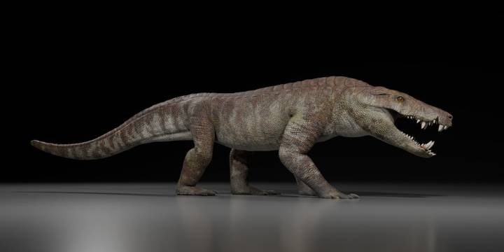 Descubren un poderoso pariente de los cocodrilos modernos que convivió con los dinosaurios en la Patagonia