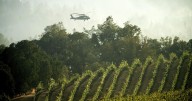 Did a prestigious Napa Valley winery play a role in sparking the 6,800
