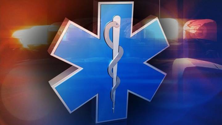 Hillman Man Dies in Tree-Cutting Incident in Morrison County