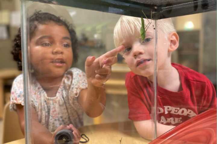 Children learn without limits at Ivybrook Academy: ...