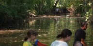 Volunteers help keep Springfield’s Fassnight Creek clean