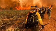 Solidaridad en Segovia con las provincias que están sufriendo el infierno de los incendios forestales: "Es la primera vez que nos movilizan por incendios"