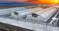 Corte de apelaciones anula fallo de desacato contra la administración Trump por deportaciones a El Salvador