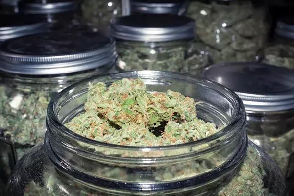 Michigan regulators fine 29 cannabis businesses for numerous violations in July