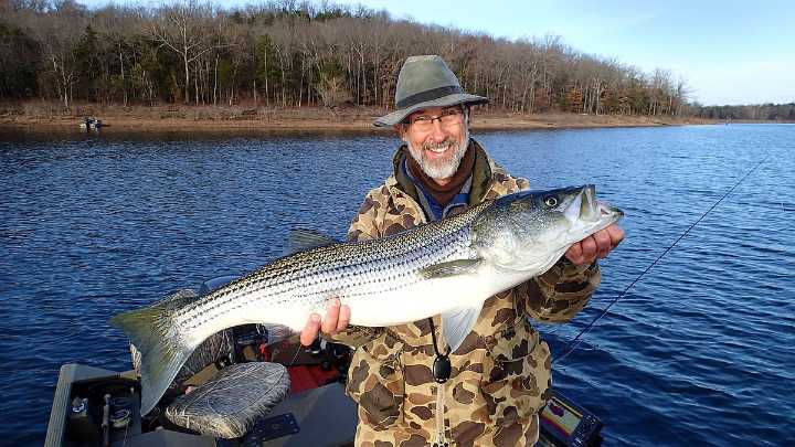 NWA fishing report: Striper bite remains good, walleye biting fair