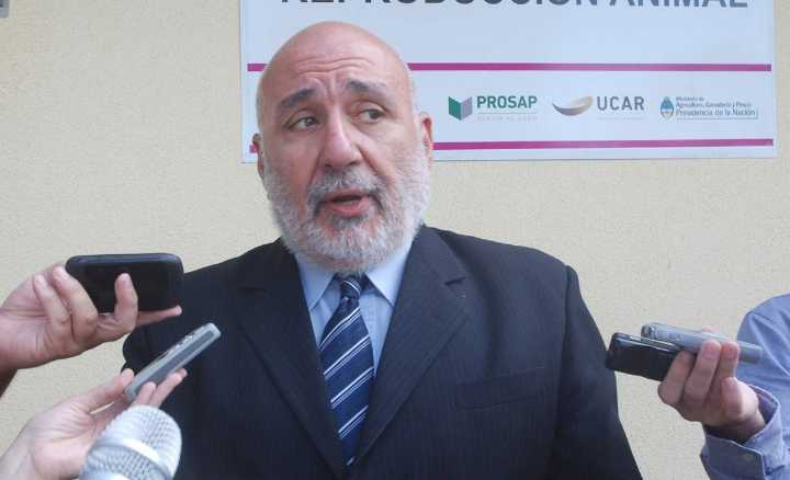 El PJ lleva a un decano piquense como candidato