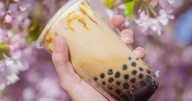 Here's What The Texture Of Boba Pearls Is Really Called