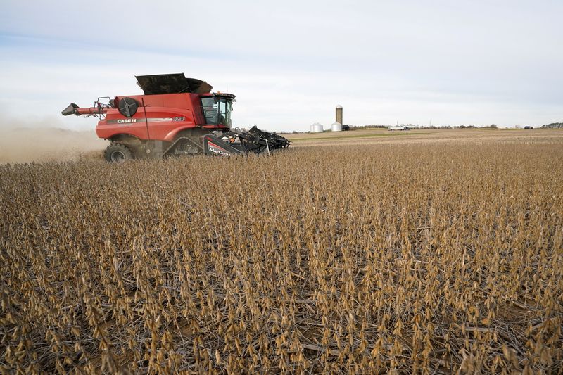 Explainer-What role do farm products have in US