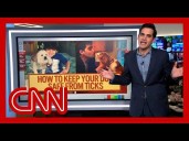 CNN's Harry Enten on how to keep your dog safe from ticks
