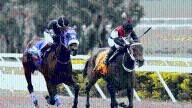 INH: Resultados del Hipódromo La Rinconada, domingo 17