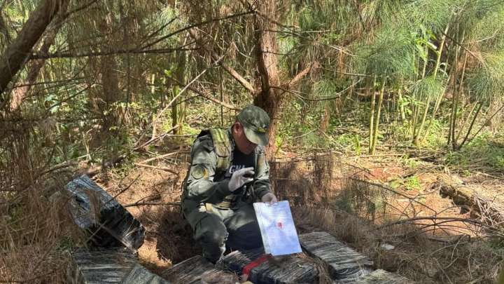 Tras un operativo, secuestraron 500 kilos de marihuana en Misiones