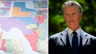 Gavin Newsom Calling CA Special Election To Counter TX Gerrymandering