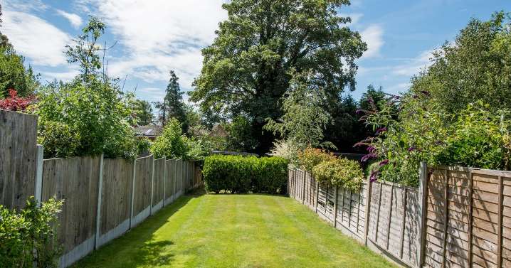 UK households urged to place two types of fruit on garden lawns