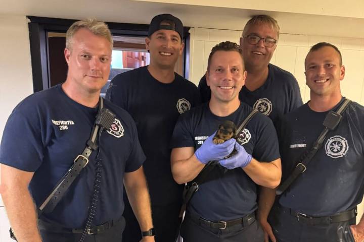 A Puppy Stuck in a Vent Saved by 5