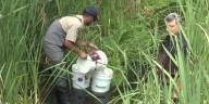 FULL INTERVIEW: Wildlife officials assist in recovery of the Arkansas Darter in Sand Creek