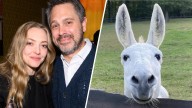 Amanda Seyfried, Thomas Sadoski are living every animal lover's dream on their farm