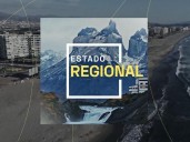 Estado Regional Red Antofagasta 29 de agosto de 2025
