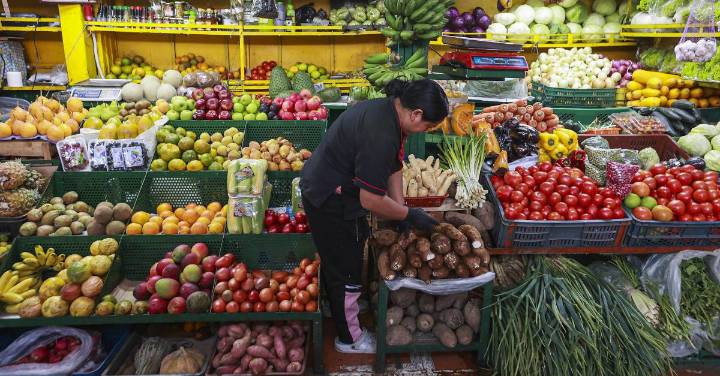 Gobierno asegura que la reforma tributaria no gravará con IVA ningún alimento de la canasta familiar