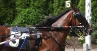NYSS frosh filly pacers at Batavia Thursday for $110,000