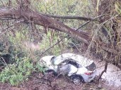 Una persona fallecida deja choque y posterior desbarrancamiento de vehículo hacia el estero Marga Marga de Viña del Mar