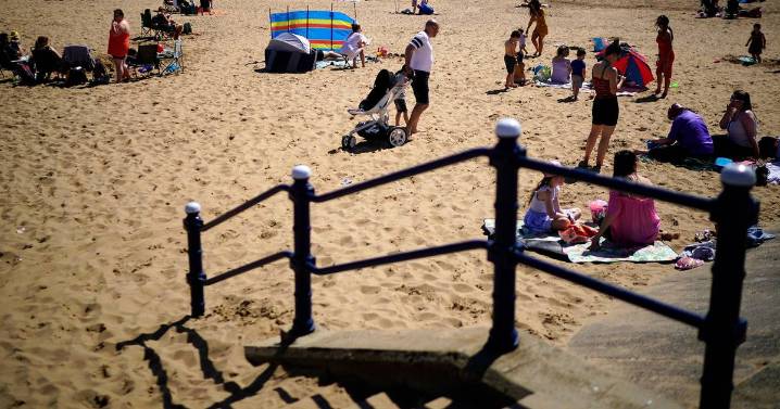Brits heading to the beach warned of poisonous creature hiding under the sand