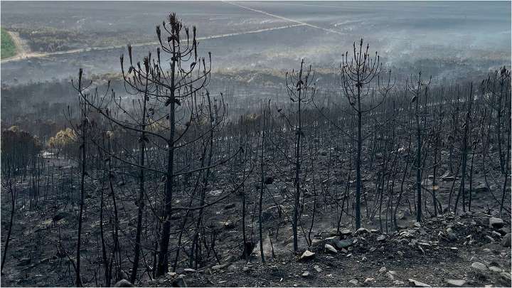Desolación en León por la muerte de Abel y Jaime, voluntarios y primos