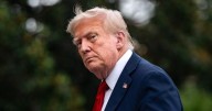 Trump Says Roger Clemens 'Should be in the Baseball Hall of Fame NOW!'