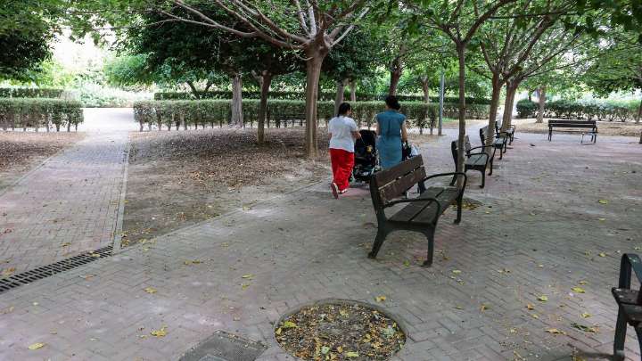Un refugio climático infestado de mosquitos