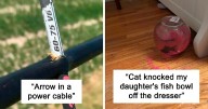 People Are Sharing Pics That Show Things That Happened At ‘Nearly Impossible Odds’ (39 Pics)
