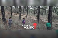 Criminalizan a defensores de montaña en San Pedro Tlalcuapan, Tlaxcala tras linchamiento