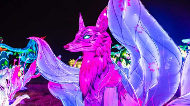 China Lights to return Sept. 12 with ‘Magical Forest’ theme