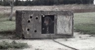 Her Owner Wouldn’t Touch Her Because She’s “Dirty and Yucky”. Dog She Kept Chained Up Outdoors