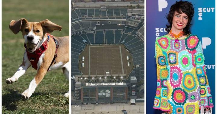 Eagles-Browns, Dog Day of Summer in Manayunk, Linkin Park: Things to do this weekend in Philadelphia