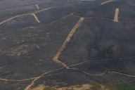 Incendios forestales en España no dan tregua
