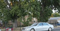Man suspected of lighting Sacramento area home on fire with parents inside