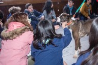 Jornada sobre tenencia responsable de animales en Ushuaia