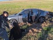 La diputada Rocío Bonacci sufrió un accidente con un auto oficial en la ruta 9: "El chofer se quedó dormido"