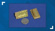 Erie County distributing bait with rabies vaccine in August