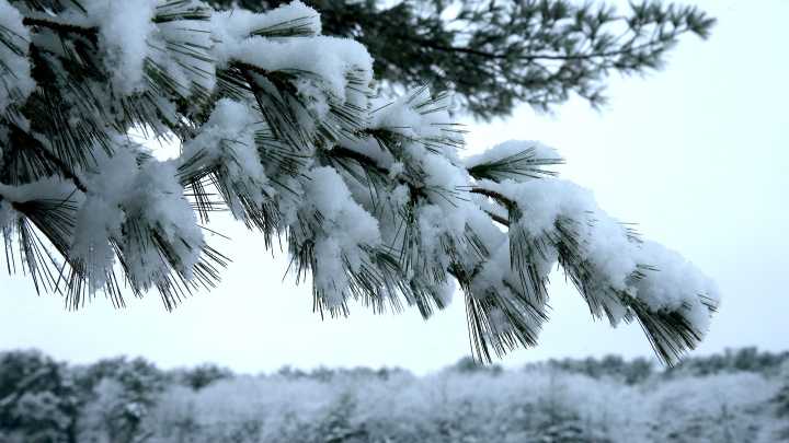 Almanac gives fall, winter 2025 forecast. NOAA, AccuWeather agree?