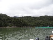 Superintendencia del Medio Ambiente ordenó el cierre de dos centros de salmonera canadiense en Aysén