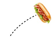 Grand jury dismisses charges against man who threw sandwich at federal officer