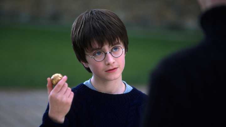 Harry Potter Director Chris Columbus Hopes HBO Show Keeps These Two Cut Scenes