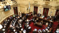 Semana clave en el Senado: oposición avanza con presupuesto universitario, emergencia pediátrica y DNU