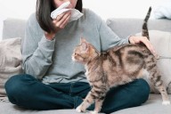 Couple Adopts Kittens Despite Avoiding Family Gatherings Due to 'Cat Allergies'