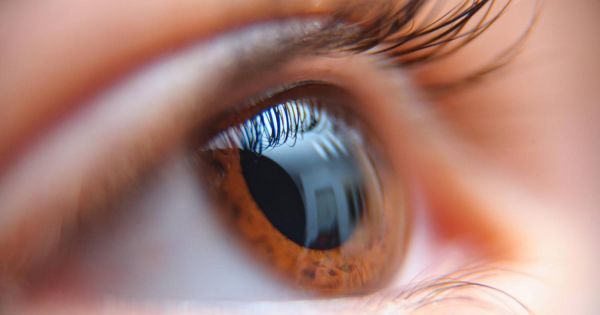 Adiós a los anteojos: aprobaron las primeras gotas oculares que corrigen la vista de cerca y mejoran el enfoque