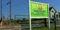 ‘We’re heartbroken’: Mayse Farm targeted by thieves
