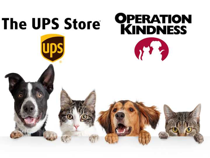 UPS Store Cedar Springs, Operation Kindness holding pet food pantry