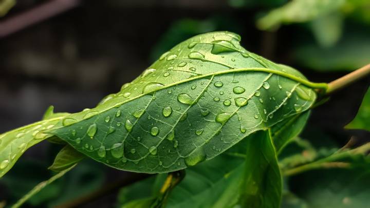¿Lluvia ó sol?: Así estará el tiempo este fin de semana largo en la Región de Valparaíso
